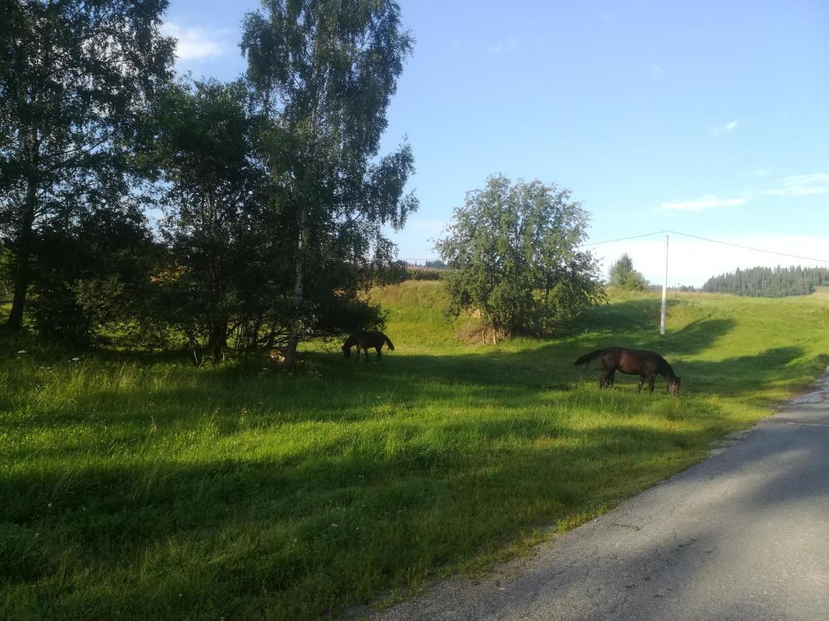 Pokoje Goscinne Duda Bialka Tatrzanska Buitenkant foto