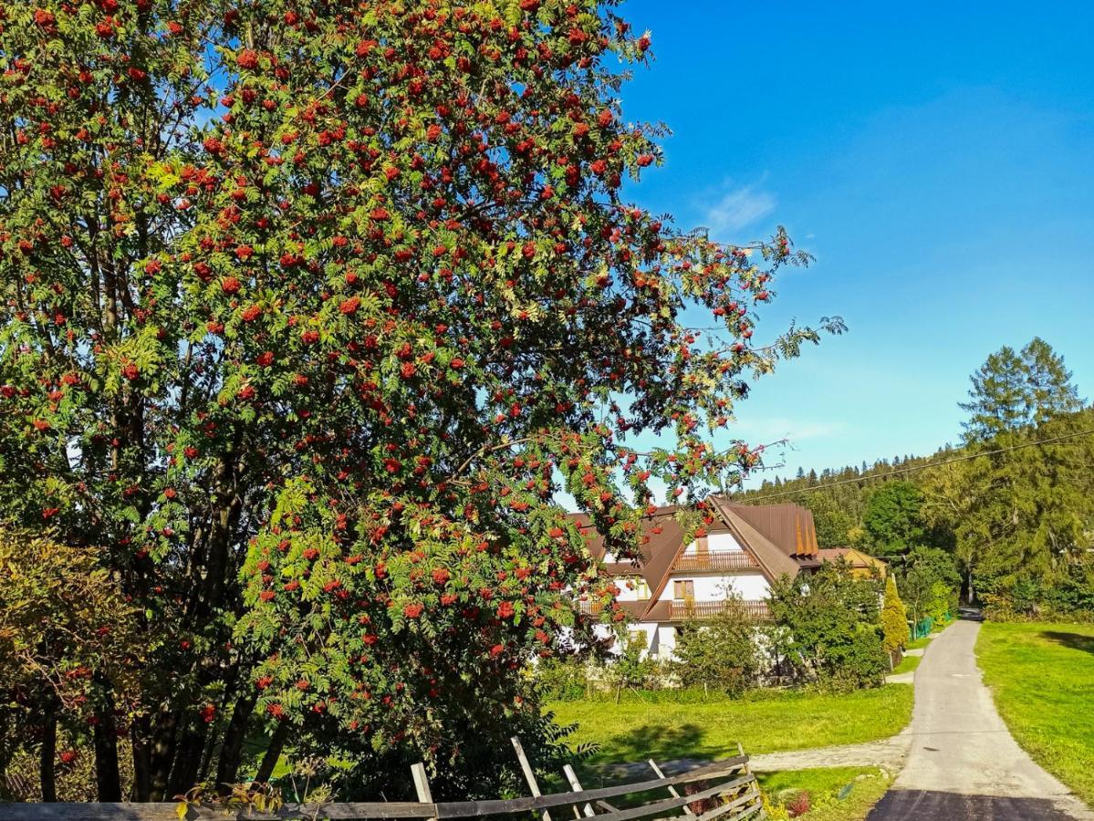 Pokoje Goscinne Duda Bialka Tatrzanska Buitenkant foto